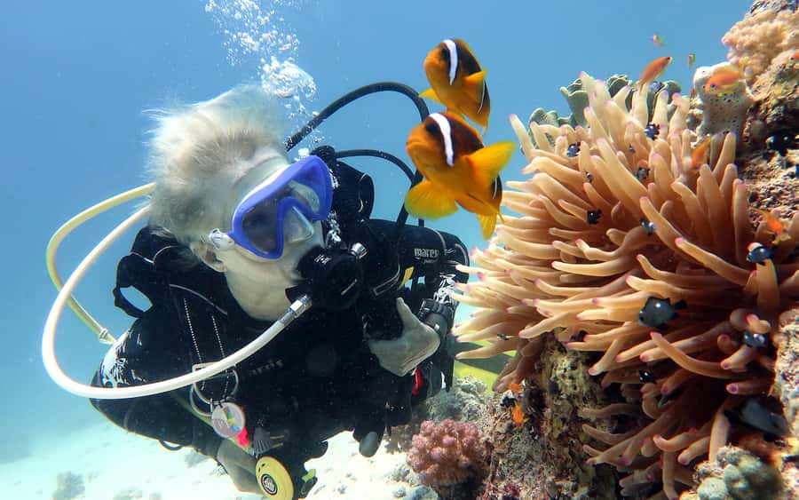 Dubai to Fujairah: First Scuba Diving + Transfer & BBQ - Key highlights at a glance