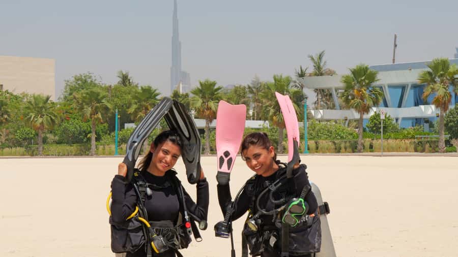 Dubai: VIP Private Scuba Dive with Free Hotel Transfer - Marine life expectations, visibility, and fish interaction