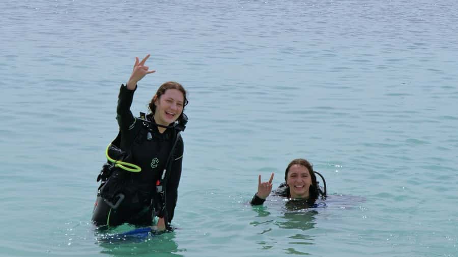 Dubai: VIP Private Scuba Dive with Free Hotel Transfer - Price in context: what $95 covers in Dubai