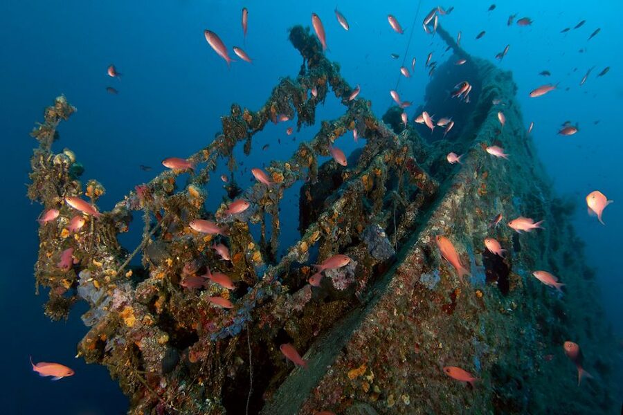 Dubrovnik: 1-Day Diving Package - Why Dubrovnik’s south Adriatic fits a 1-day plan
