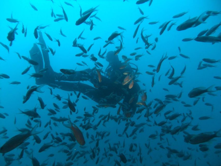 Dubrovnik: 1-Day Diving Package - Shore locations: caves, walls, and a night option near Dubrovnik