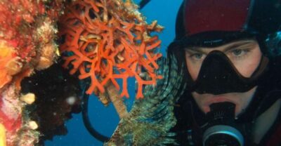 Dubrovnik: 1-Day Diving Package - The real schedule: two 2.5-hour sessions with a proper break