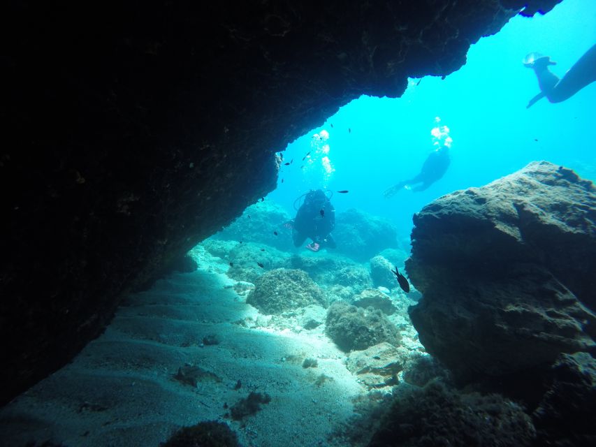 Dubrovnik: 1-Day Diving Package - What the small-group system does for your attention span