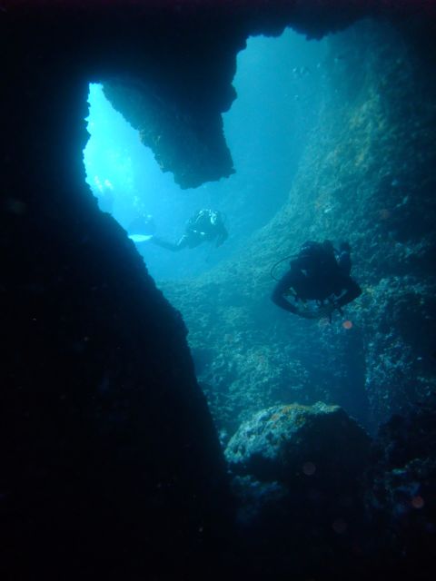 Dubrovnik: 1-Day Diving Package - Equipment is included, but double-check your comfort