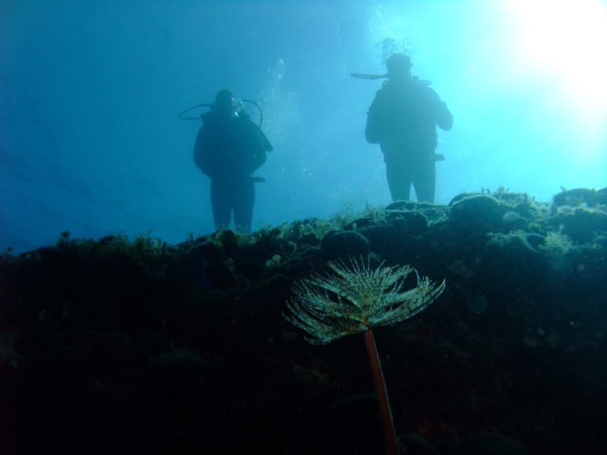 Dubrovnik: 1-Day Diving Package - Price and value: what $164 buys in one day