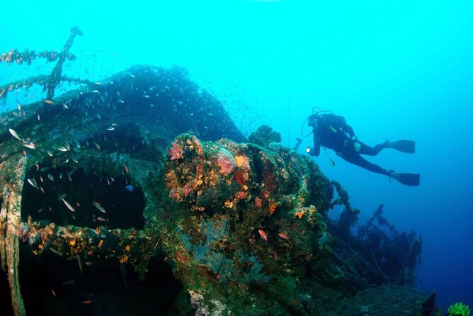 Dubrovnik 1 Dive for Certified Divers - Key Highlights at a Glance