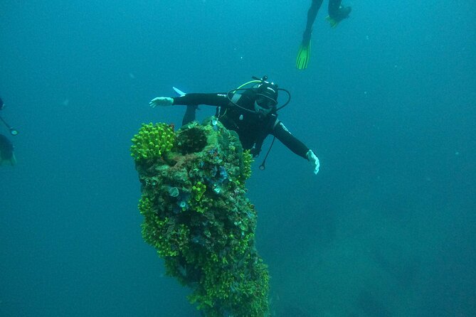 Dubrovnik 1 Dive for Certified Divers - How the Instructor Chooses Your Underwater Site (and Why That’s Smart)