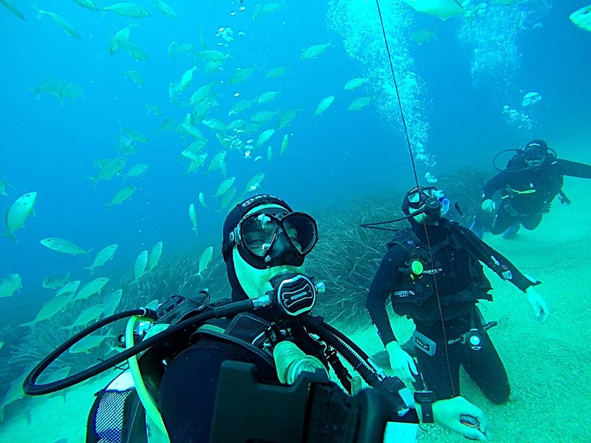 Dubrovnik 2-Hour Uncertified Divers Introductory Dive - Safety Rules and the Ear-Pressure Reality Check