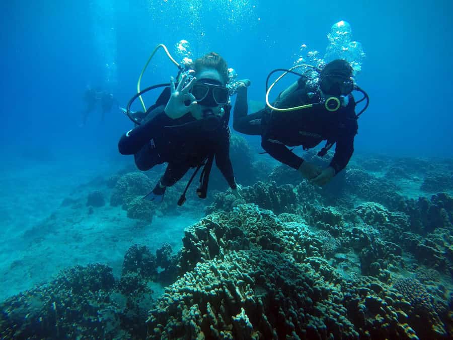 Easter Island: Tropical Diving - Why Hanga Piko Makes This Scuba Session Feel Special