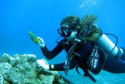 Easter Island: Tropical Diving - The 150-Minute Schedule: What Happens in Real Time