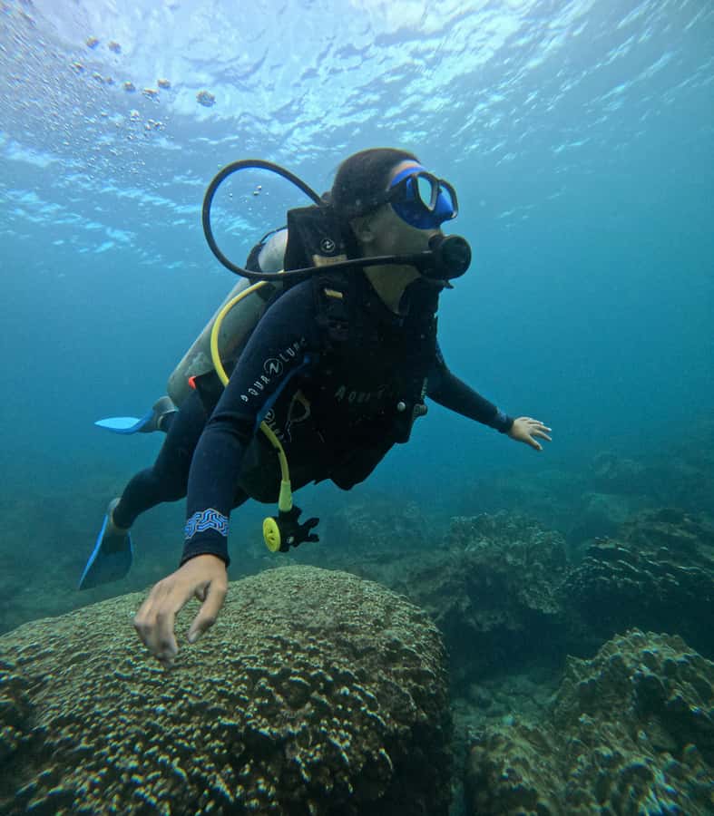 Easter Island: Tropical Diving - Gear Included: What You’ll Wear and What You’ll Handle