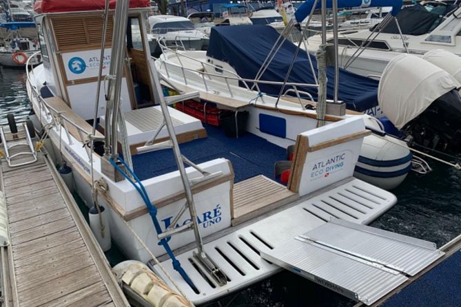 Eco Adapted Diving in Tenerife - Why Tenerife’s south‑west waters work so well for your first scuba session
