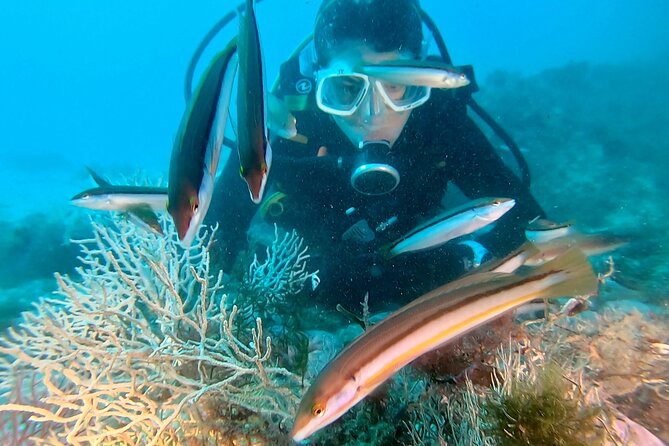 Eco - Try Dive - Sesimbra intro scuba, with real eco purpose