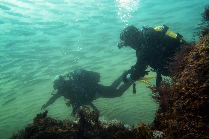 Eco - Try Dive - Safety setup that keeps the experience calm