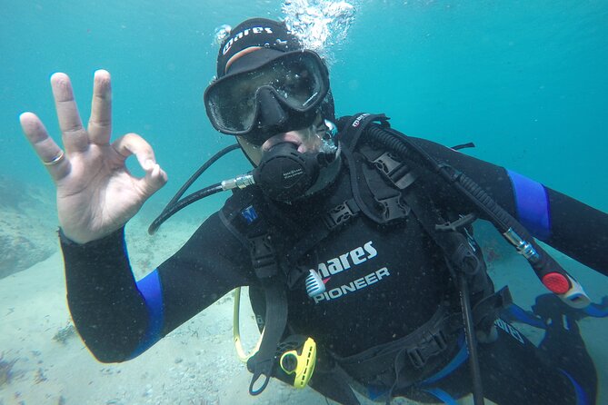 Eco - Try Dive - Group size matters more than you think