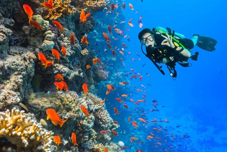 Eilat: Intro to Diving with Certified Instructor - Health and Age Limits: Who Should Skip This Session