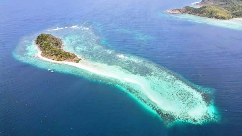 El Nido: Manta Ray Diving Experience in Sibaltan - Price and value: what you’re really paying for at $117