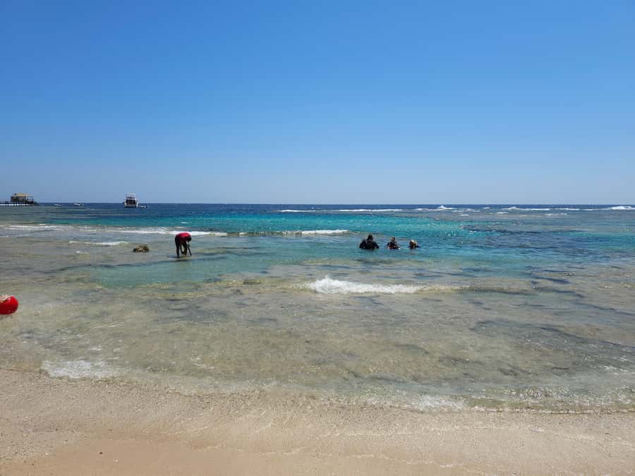 El Quseir: Red Sea Diving - Reefs, Caves & Marine Wildlife - Serib Kebir Reef off El Quseir: the underwater payoff