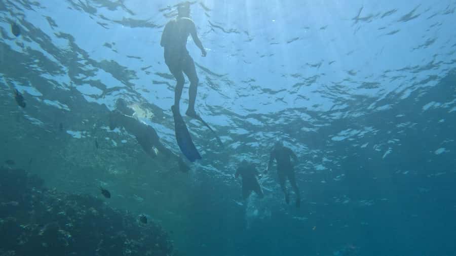 El Quseir: Red Sea Diving - Reefs, Caves & Marine Wildlife - Depth variety and visibility: why this feels easier than you expect