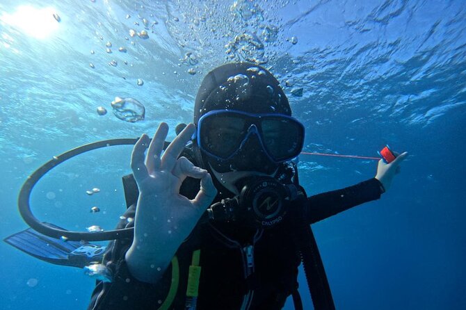 “Embark on a Professional and Passionate Scuba Diving Adventure!" - Practical notes that affect your day: weather, pace, and what to bring
