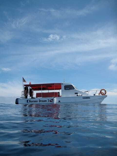 Enjoy 3 Fun Dives in Kota Kinabalu | Certified Divers - Key Details That Make This Trip Worth Your Time