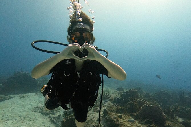 Enjoy two dives without previous experience with a boat trip - Key Points You’ll Care About