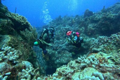 Enjoy two dives without previous experience with a boat trip - The Basic Scuba Training: Skills, Depth, and Instructor Support