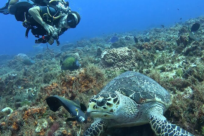Enjoy two dives without previous experience with a boat trip - The Boat Ride Factor: Why the Sea Time Matters