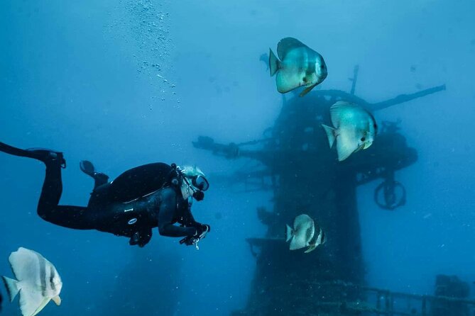Ex- HMAS Swan Wreck Double Boat Dive - Unguided for certified scuba divers: freedom with real responsibility