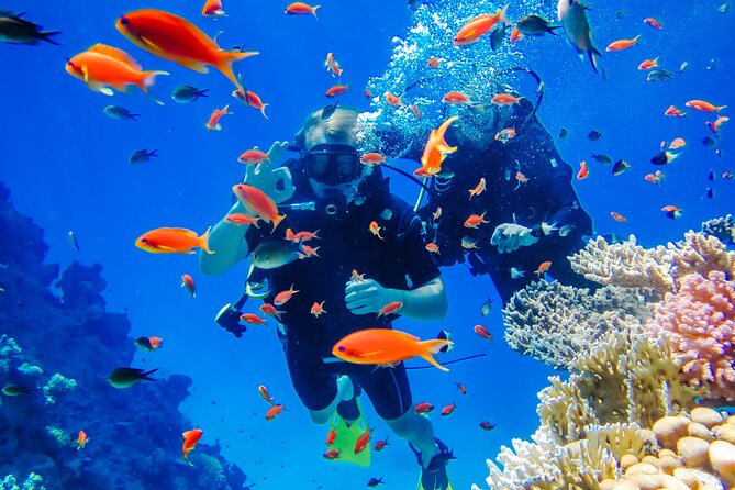 Exciteful Scuba Diving Experience in Antalya - Quick Take: What You’ll Notice Fast