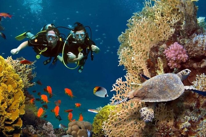 Exciteful Scuba Diving Experience in Antalya - Antalya’s Konyaaltı Setup: Clear Water and Reef Time