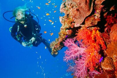Exciteful Scuba Diving Experience in Antalya - Hotel Pickup and the 10:00 Start: Convenience You Feel Immediately