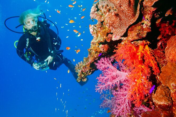 Exciteful Scuba Diving Experience in Antalya - Hotel Pickup and the 10:00 Start: Convenience You Feel Immediately