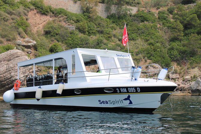 Exciting PADI Discover Scuba Diving Experience Isola Bella Marine Park Taormina - The In-Between Break Near Isola Bella: Snacks, Drinks, and a Real Reset
