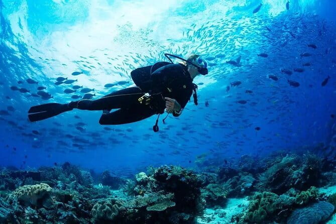 Experience Nha Trang Scuba Diving with Certified Dive - Key highlights to know before you go