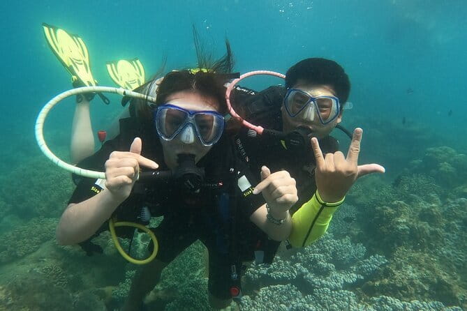 Experience Nha Trang Scuba Diving with Certified Dive - Coral Reef Point at Hon Tam: why this reef works for your time in Nha Trang