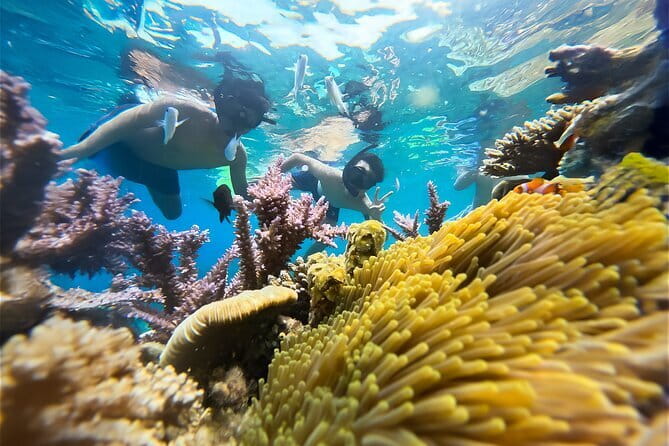 Experience Nha Trang Scuba Diving with Certified Dive - Weather, comfort, and what to pack (so you feel calm)