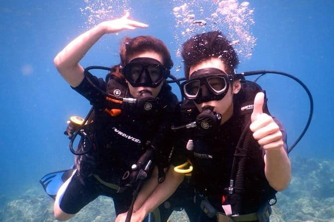 Experience Nha Trang Scuba Diving with Certified Dive - Who should book this Hon Tam reef outing?