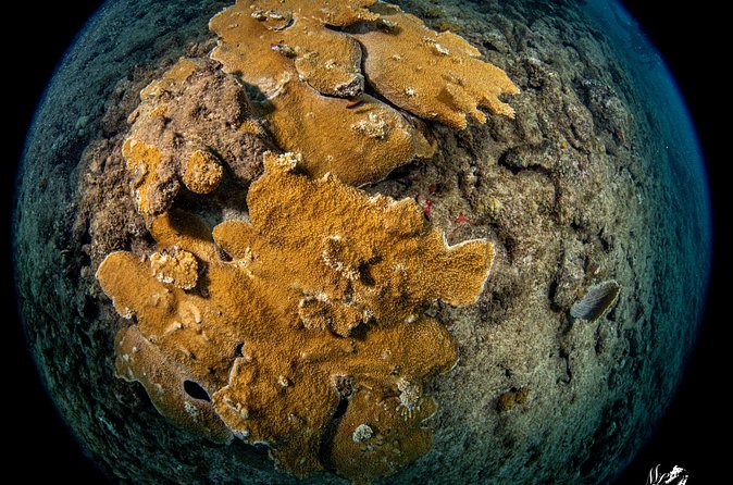 Experience Scuba - Gear Fitting and Safety: The Part That Makes You Relax