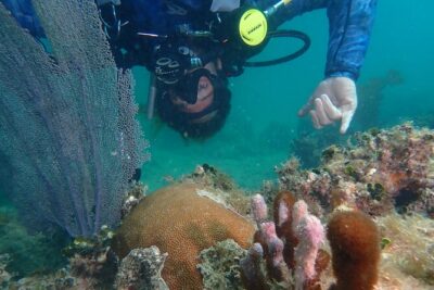 Experience Scuba Diving - No Certification Needed! - Your Underwater Sessions: Depth, Timing, and What You’ll See