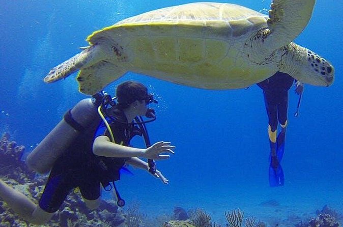 Experience Scuba Diving / NO certification Needed - Underwater time and what you might see (plus how to stay calm)