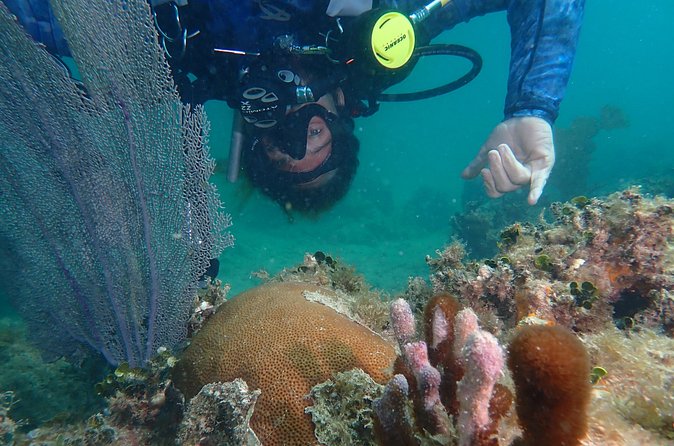 Experience Scuba Diving / NO certification Needed - Safety rules matter more than photos: the real-world lesson