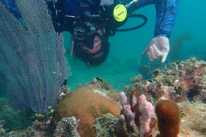 Experience Scuba Diving / NO certification Needed - Gear and sizing: how they set you up to feel ready