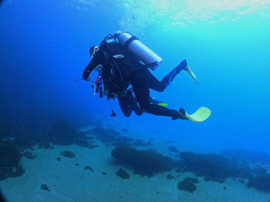 Experience the thrill of diving in Morocco Fun Dives - Key Things I’d Remember Before You Go