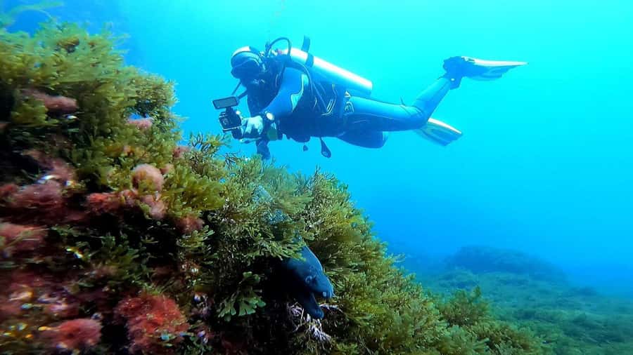 Experience the thrill of diving in Morocco Fun Dives - Tangier’s Coast Is a Solid Choice If You Want Variety