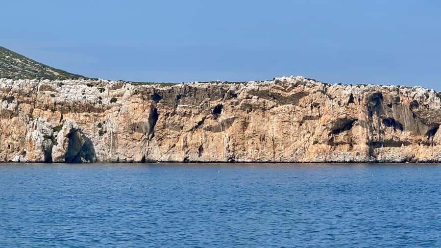Experience the thrill of diving in Morocco Fun Dives - What You’ll See Underwater: Reefs, Octopus, Groupers, and a Turtle