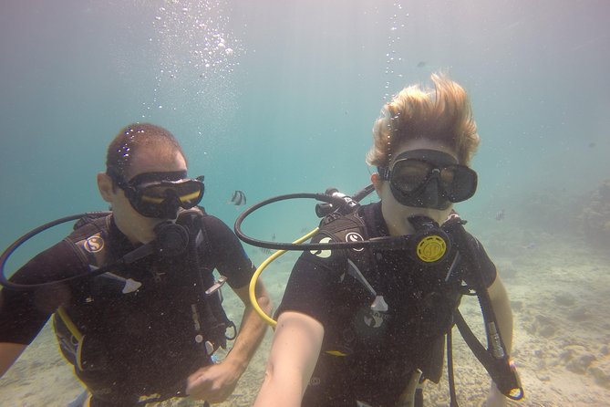 Exploration dives - Scuba-certified Mauritius outing: what you actually get for $65