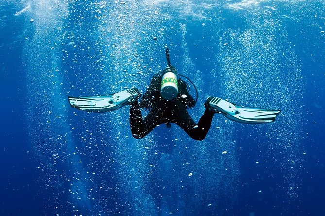 Exploration dives - Small-group format and hotel pickup that keeps things easy