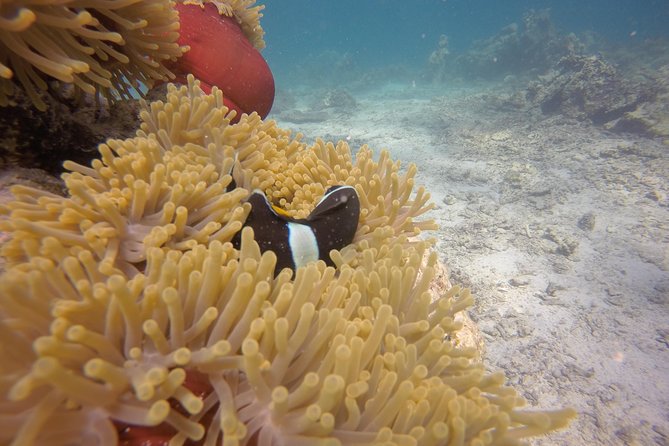 Exploration dives - Safety focus and instruction quality with BLUE WORLD EXPLORER ADVENTURES