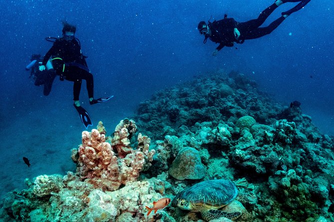 Exploration dives for experienced divers - Key things to know before you go